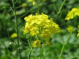 IMG_0672.jpg